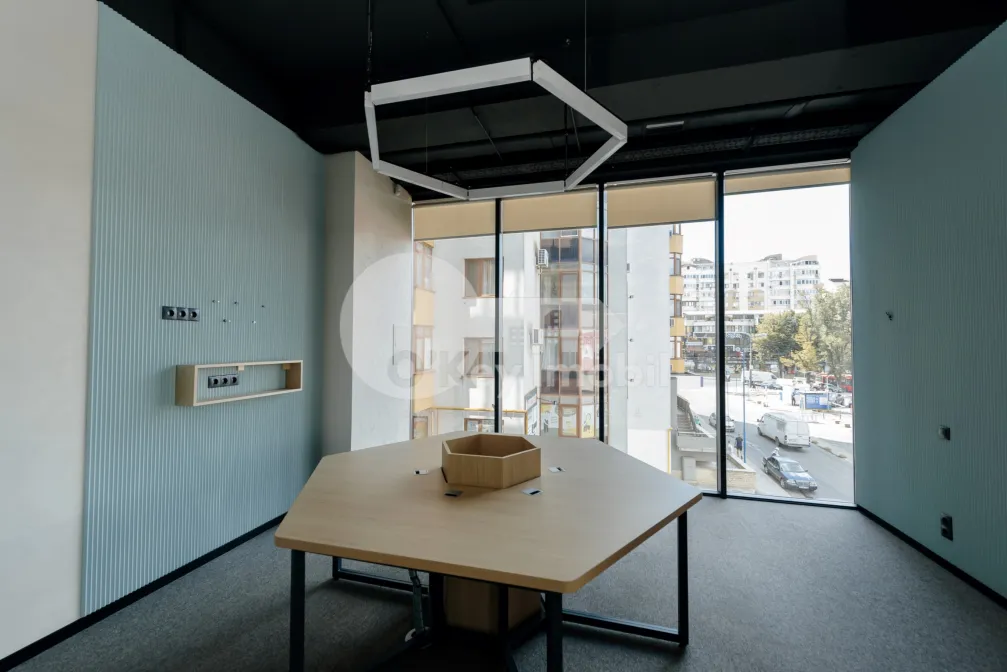 Офис, Ботаника, КОНСТАНТИН БРЫНКУШ