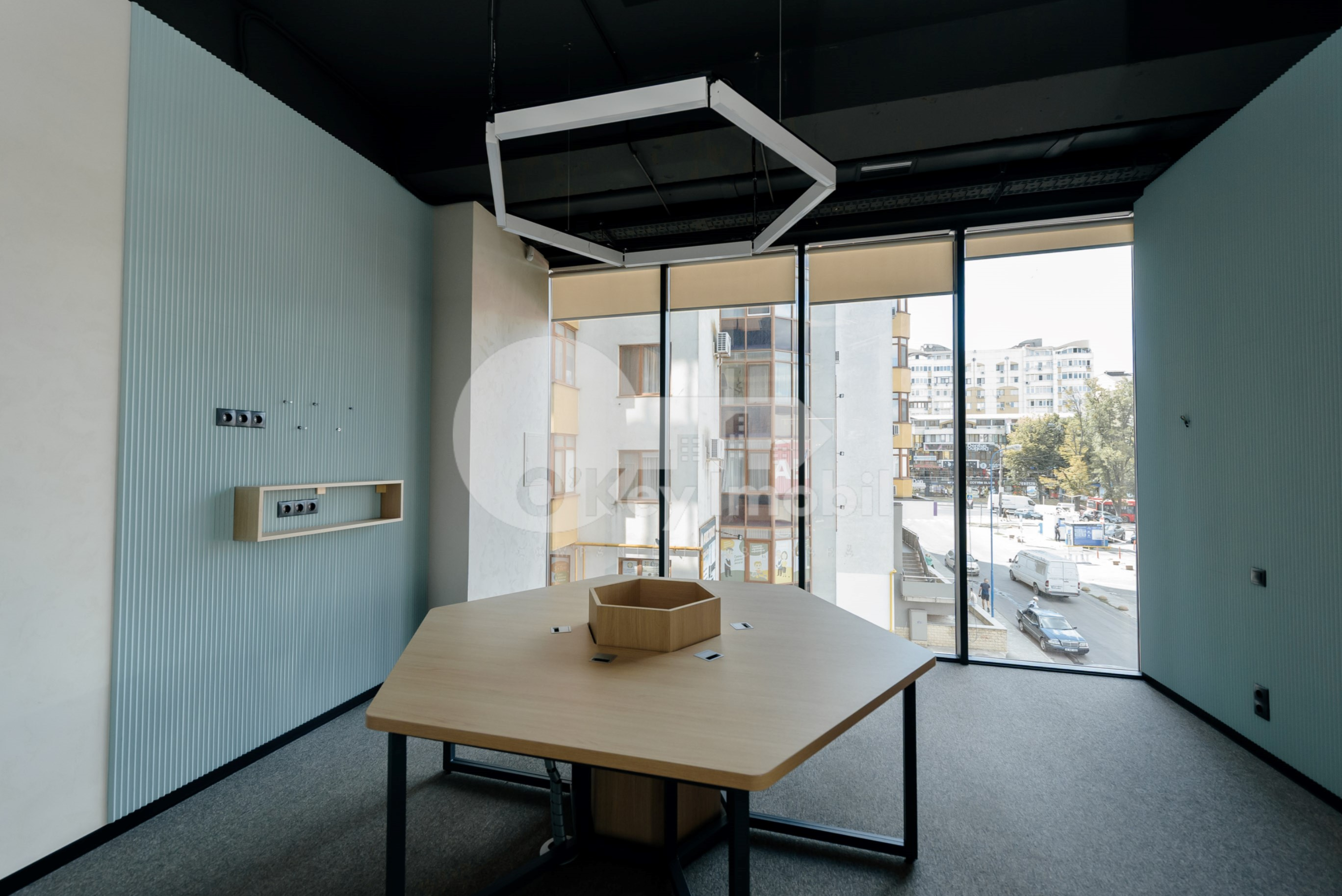 Oficiu, Botanica, CONSTANTIN BRÂNCUȘI