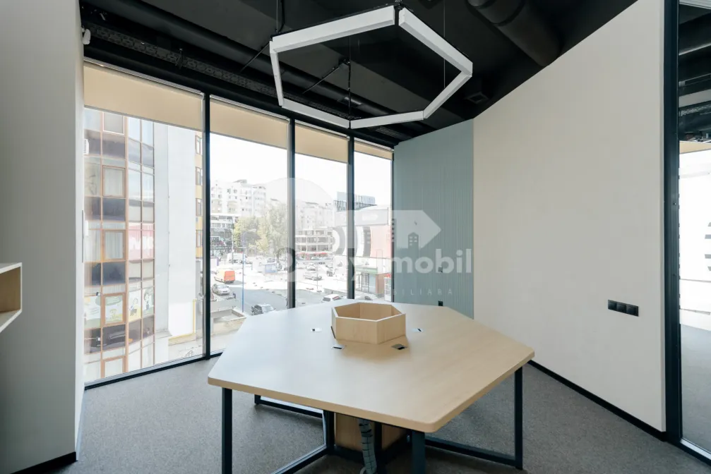 Офис, Ботаника, КОНСТАНТИН БРЫНКУШ