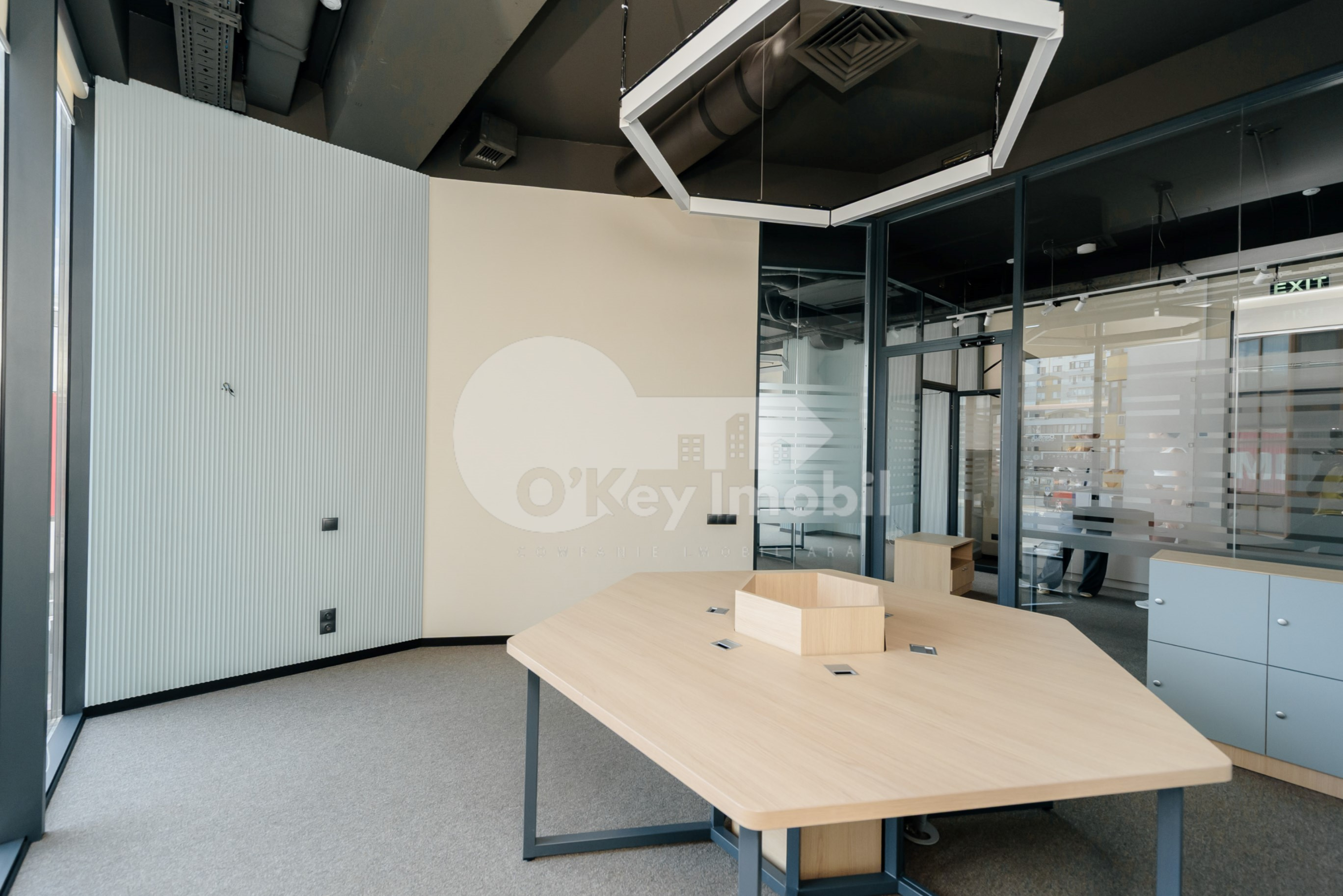 Oficiu, Botanica, CONSTANTIN BRÂNCUȘI