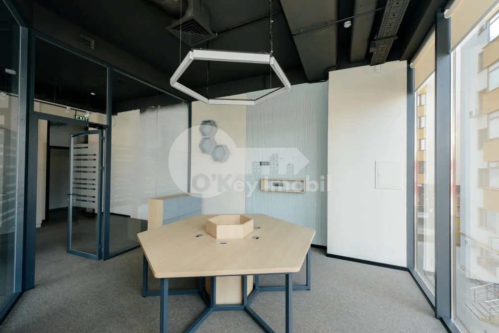 Офис, Ботаника, КОНСТАНТИН БРЫНКУШ