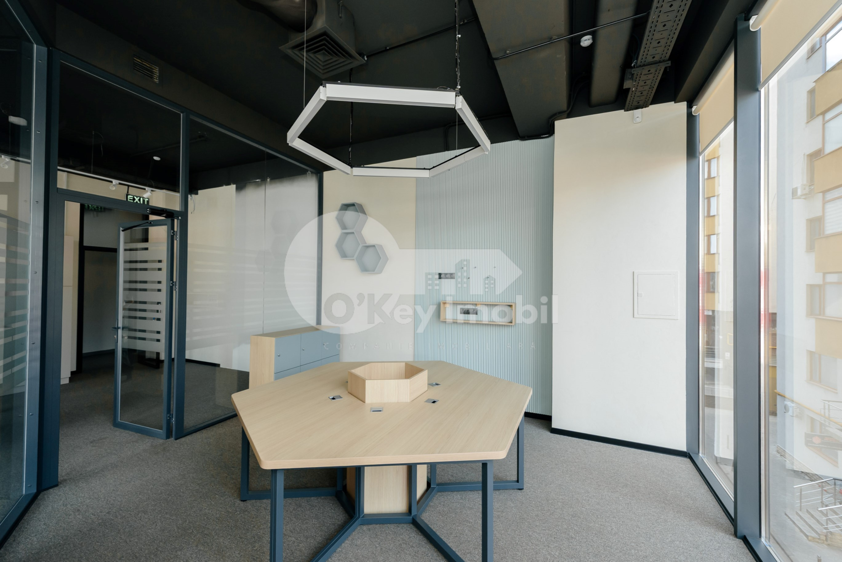 Oficiu, Botanica, CONSTANTIN BRÂNCUȘI