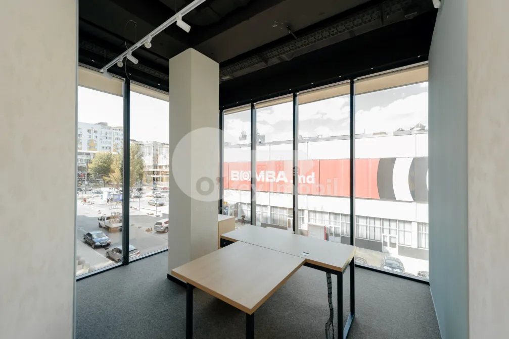 Офис, Ботаника, КОНСТАНТИН БРЫНКУШ