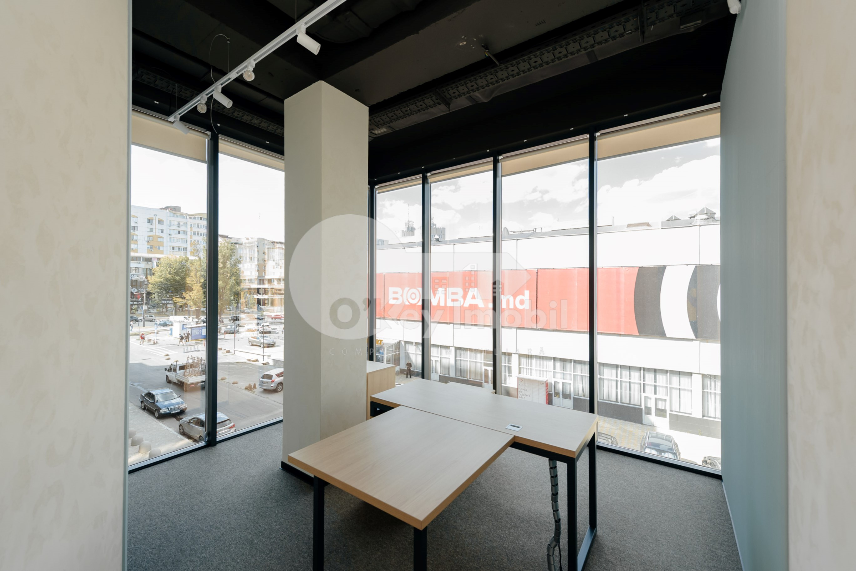 Oficiu, Botanica, CONSTANTIN BRÂNCUȘI