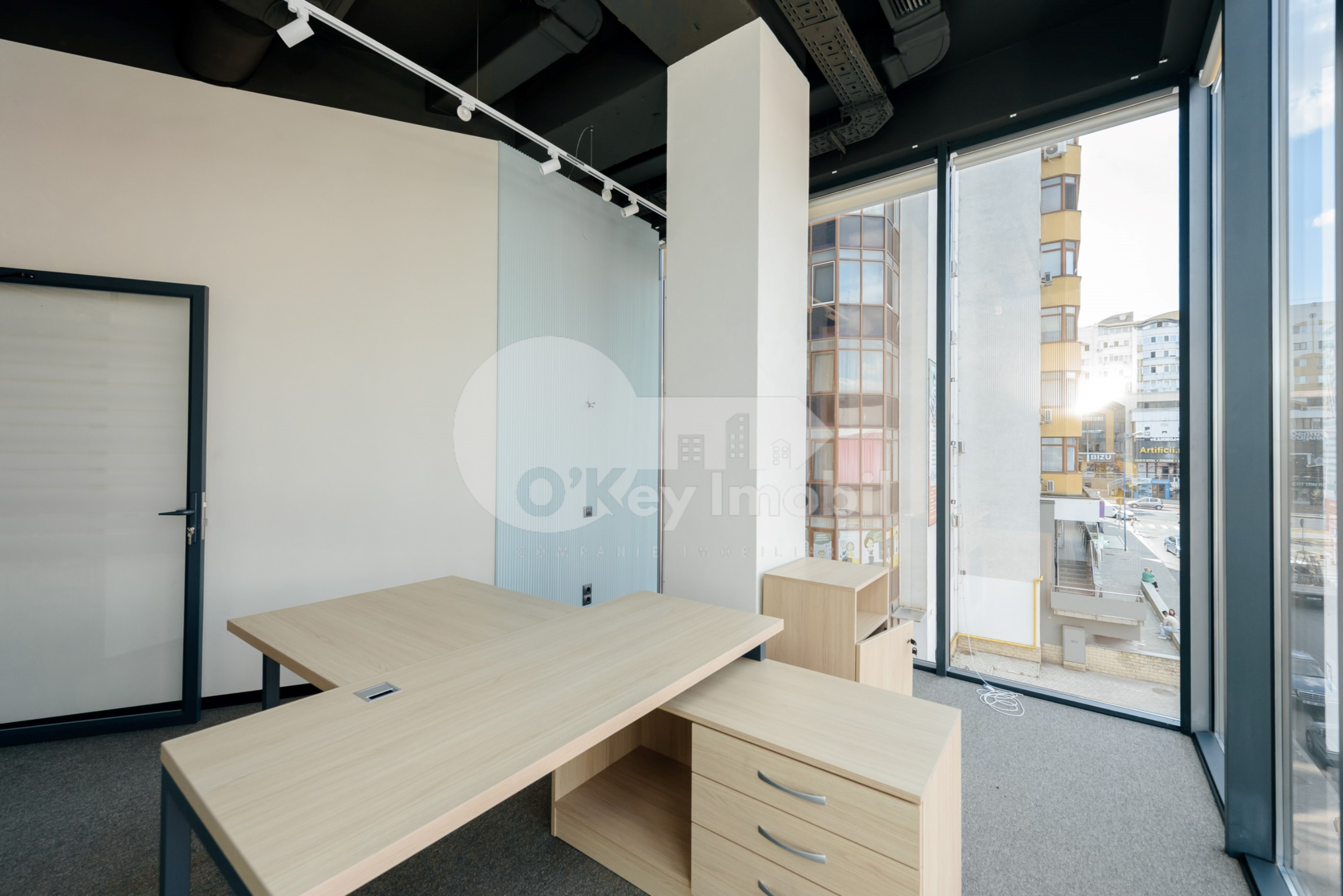 Oficiu, Botanica, CONSTANTIN BRÂNCUȘI