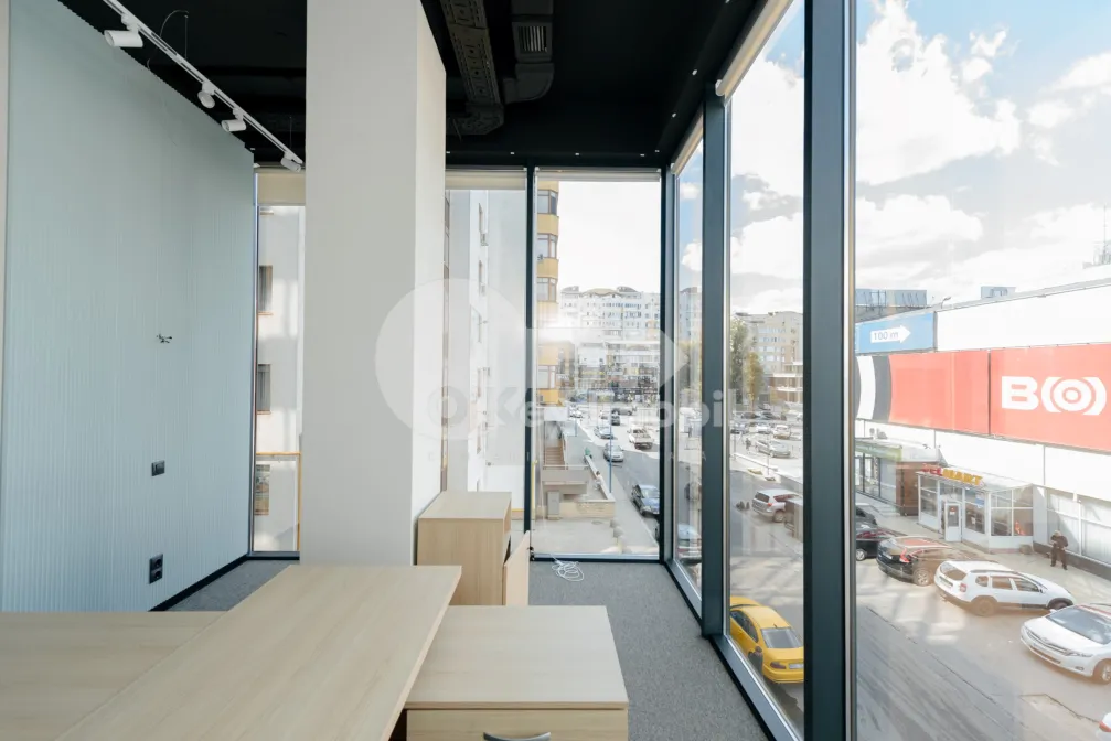 Офис, Ботаника, КОНСТАНТИН БРЫНКУШ