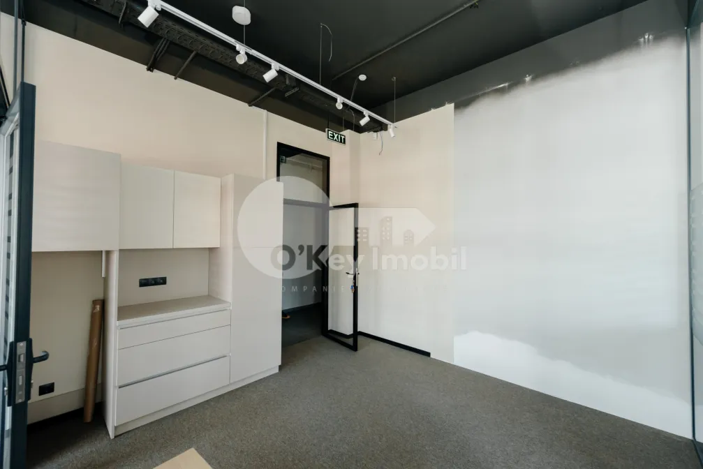 Офис, Ботаника, КОНСТАНТИН БРЫНКУШ