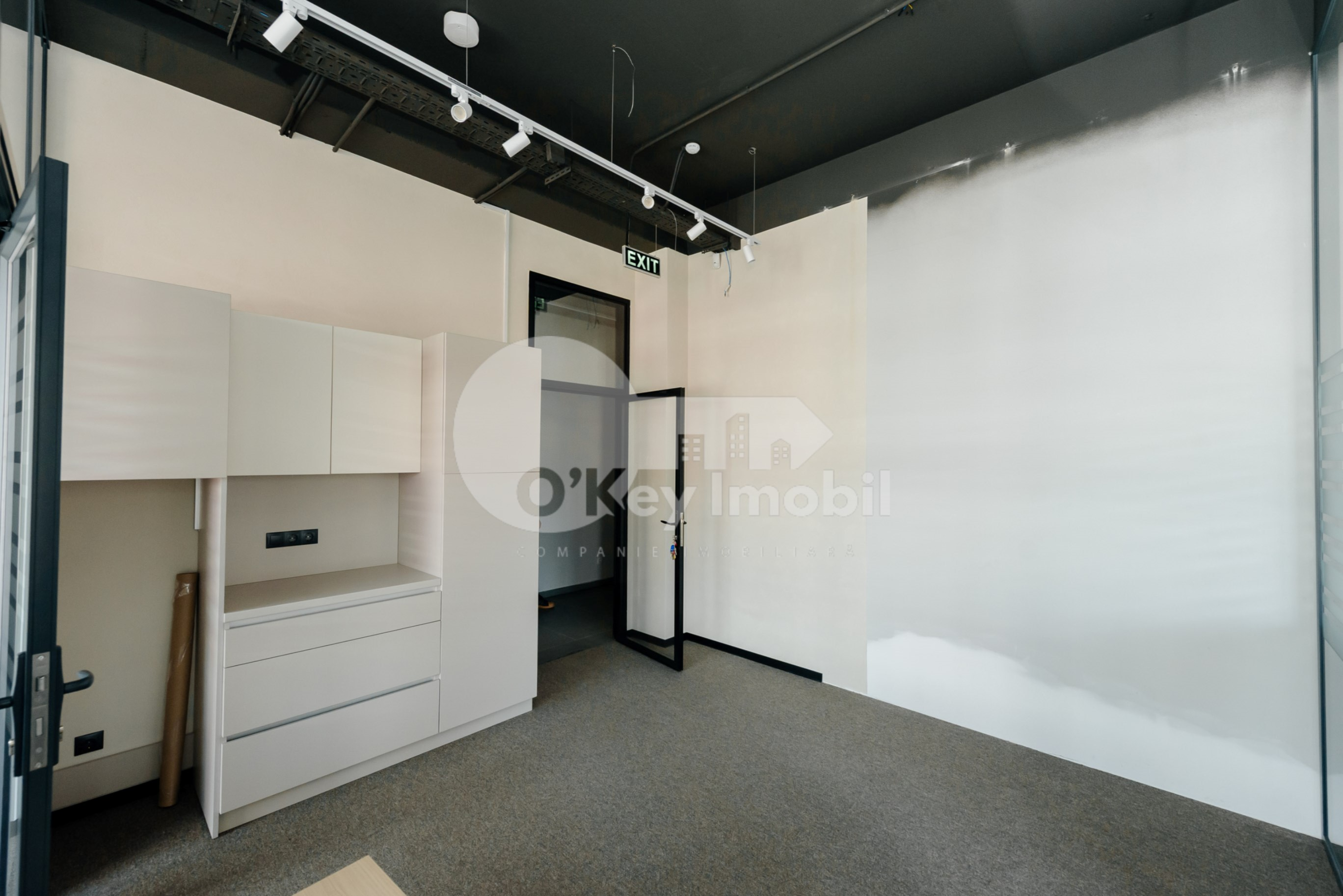 Oficiu, Botanica, CONSTANTIN BRÂNCUȘI