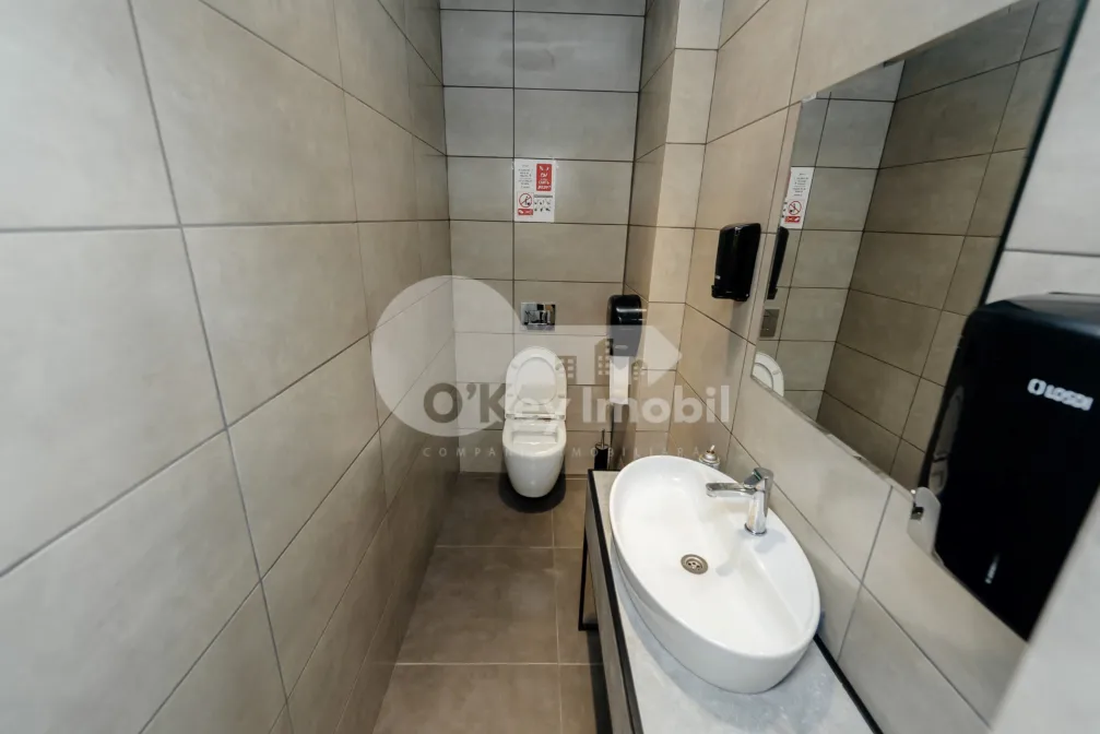 Офис, Ботаника, КОНСТАНТИН БРЫНКУШ