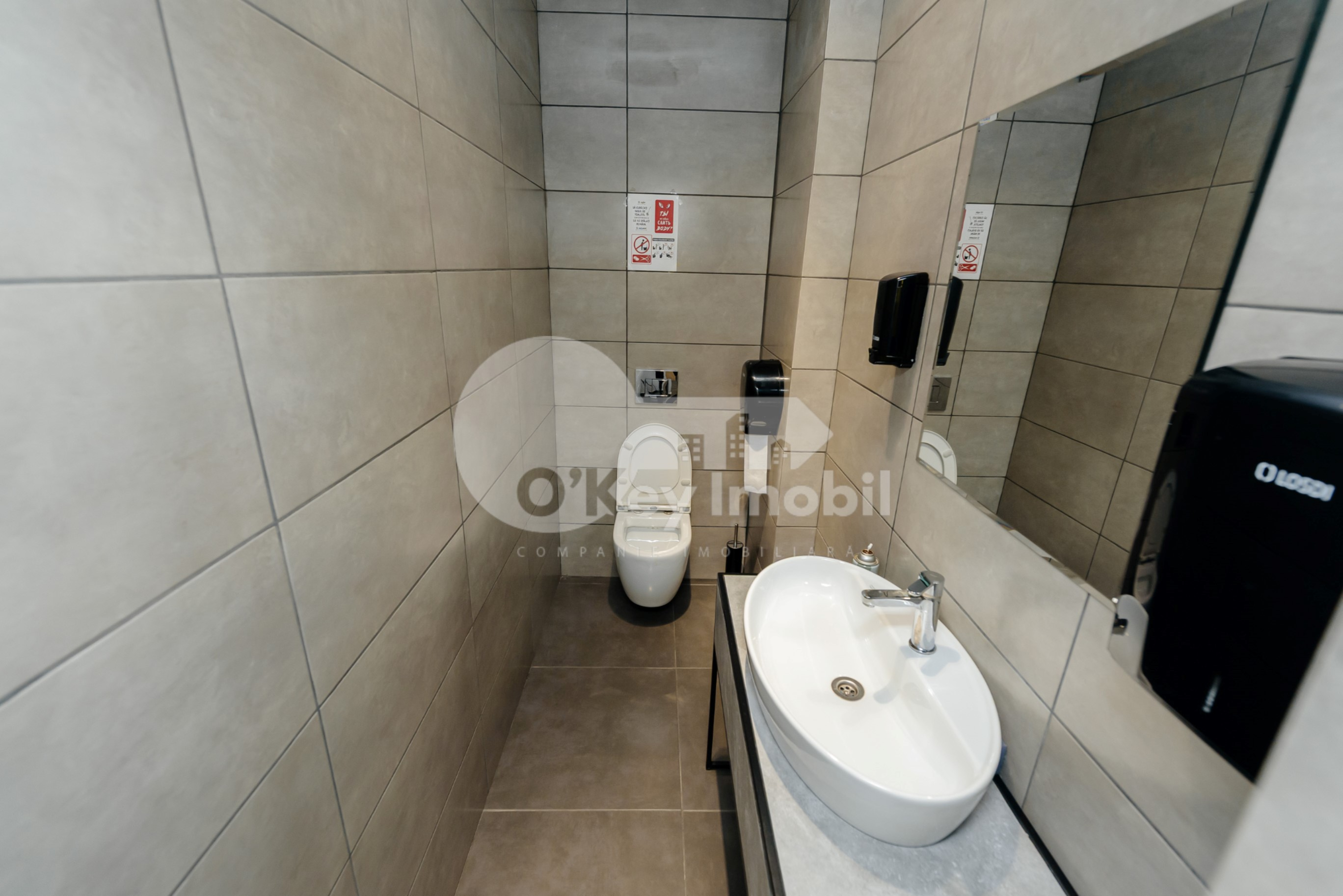 Oficiu, Botanica, CONSTANTIN BRÂNCUȘI