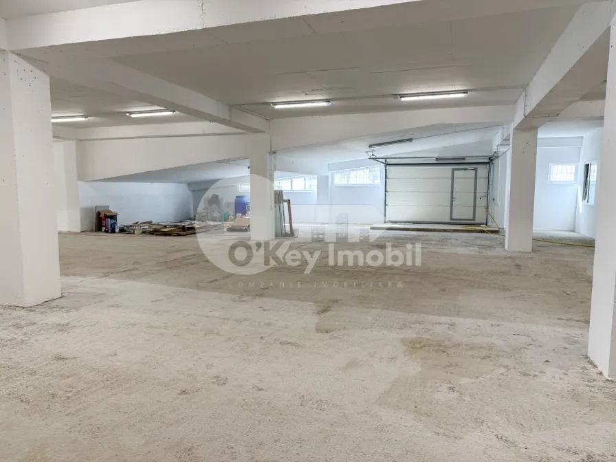 Производственное помещение, Рышкановка, СЕРДЖИУ РЭДЭУЦАНУ