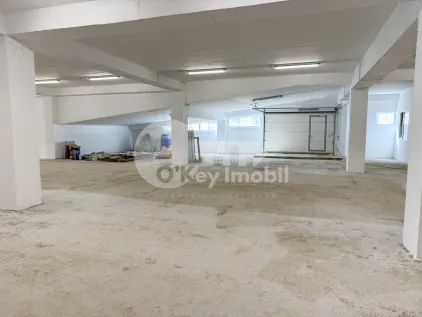 Производственное помещение, Рышкановка, СЕРДЖИУ РЭДЭУЦАНУ