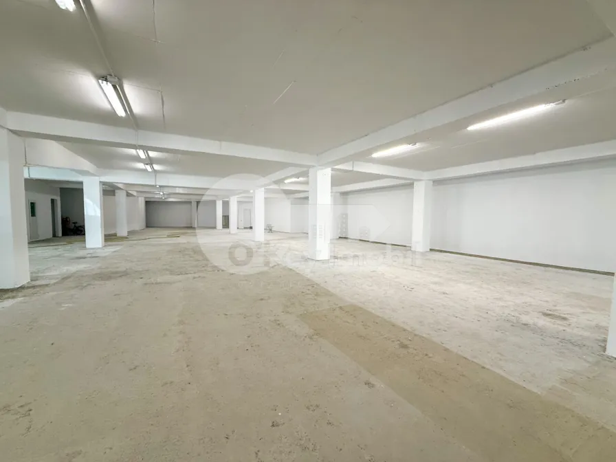 Производственное помещение, Рышкановка, СЕРДЖИУ РЭДЭУЦАНУ