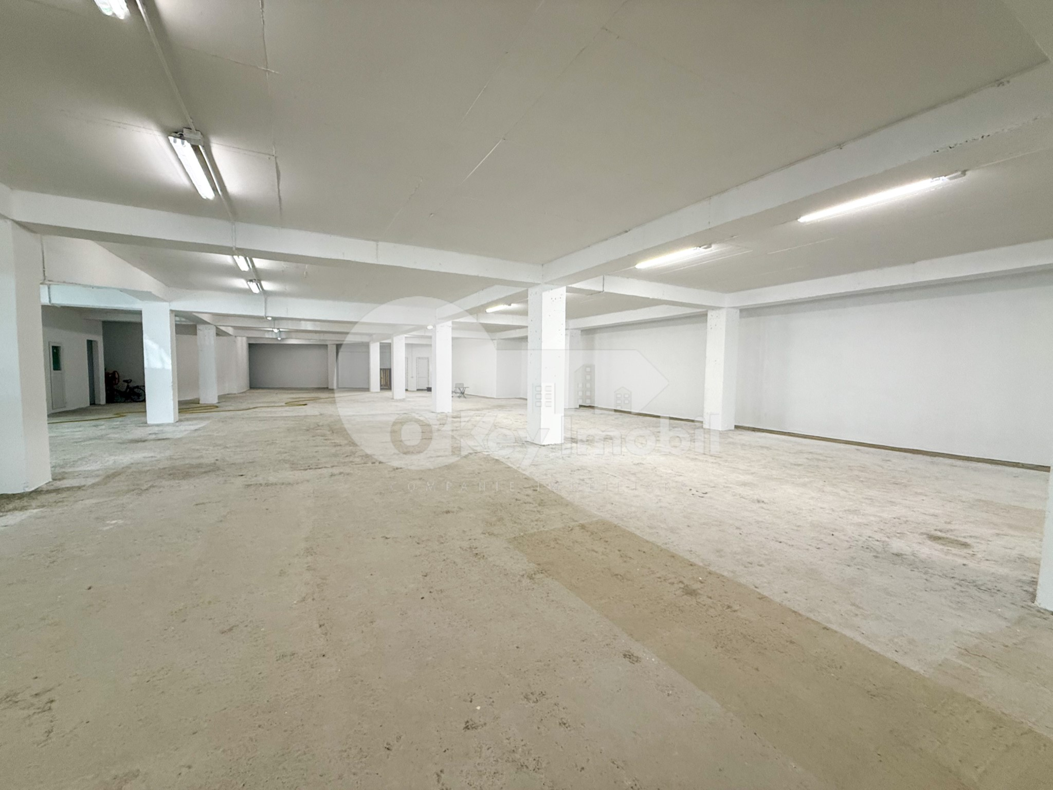 Spațiu pentru producere, Râșcani, SERGIU RĂDĂUȚANU