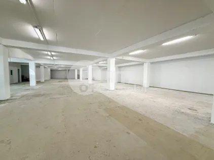 Производственное помещение, Рышкановка, СЕРДЖИУ РЭДЭУЦАНУ