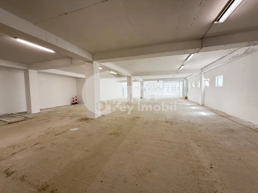 Производственное помещение, Рышкановка, СЕРДЖИУ РЭДЭУЦАНУ