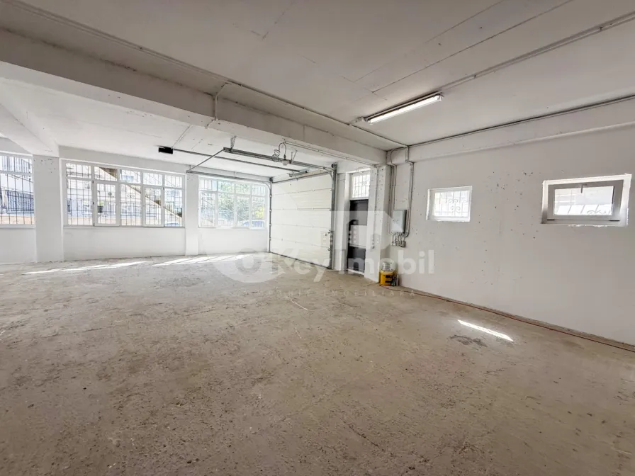 Производственное помещение, Рышкановка, СЕРДЖИУ РЭДЭУЦАНУ