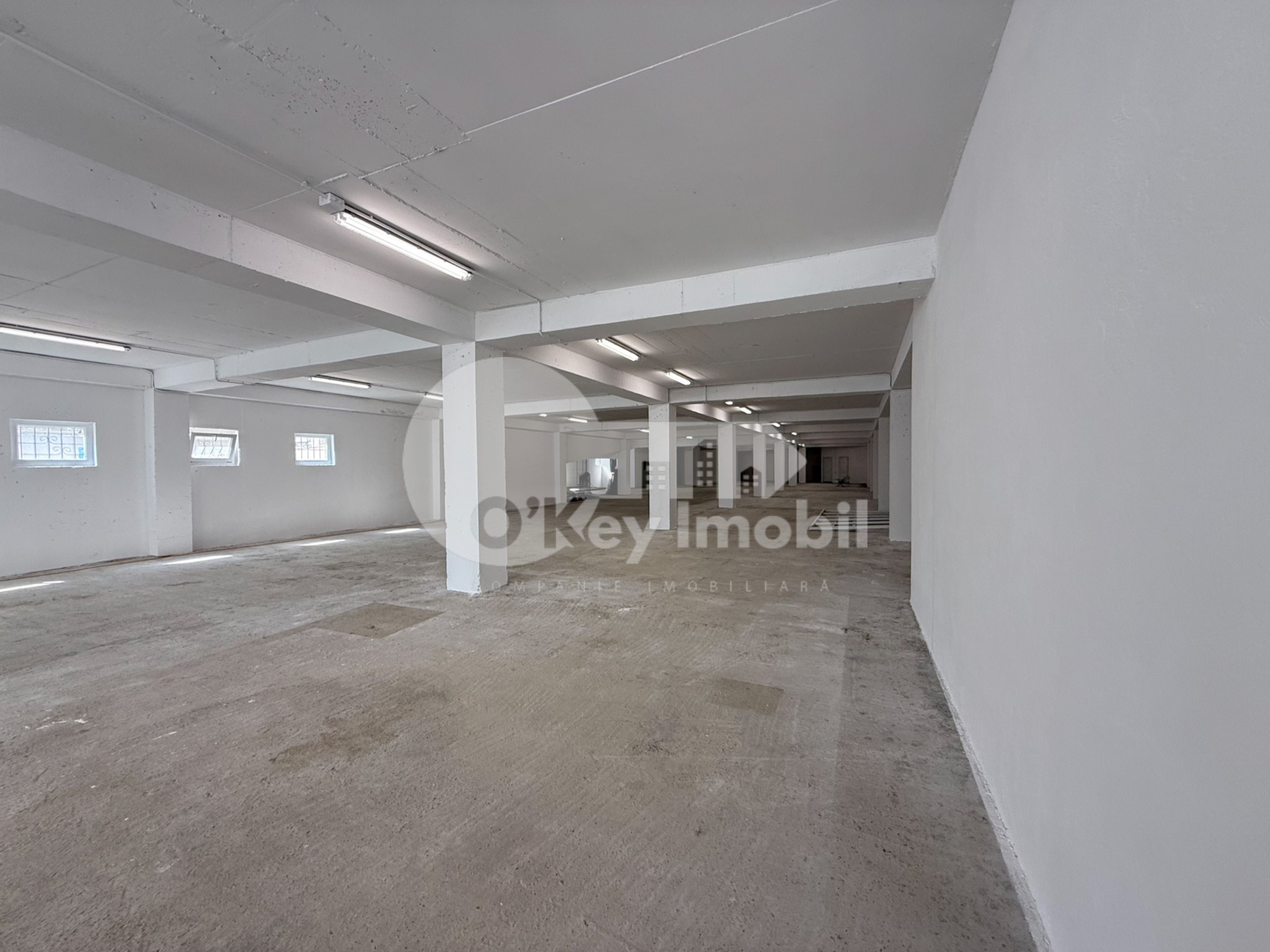 Spațiu pentru producere, Râșcani, SERGIU RĂDĂUȚANU