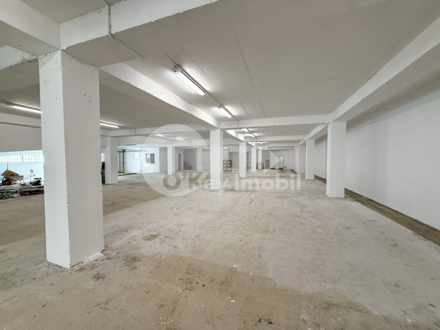 Производственное помещение, Рышкановка, СЕРДЖИУ РЭДЭУЦАНУ