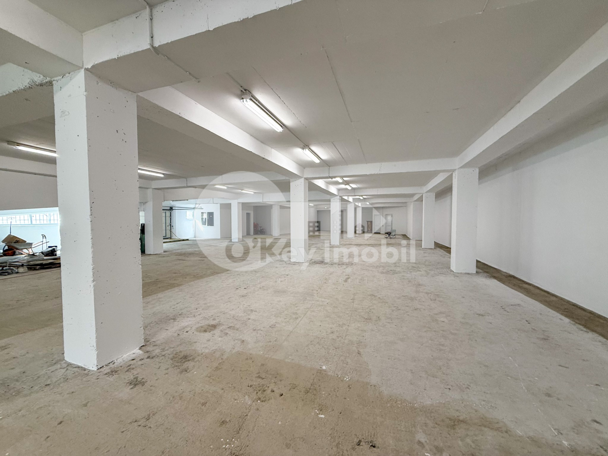 Spațiu pentru producere, Râșcani, SERGIU RĂDĂUȚANU