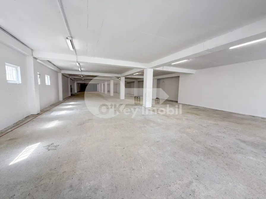 Производственное помещение, Рышкановка, СЕРДЖИУ РЭДЭУЦАНУ