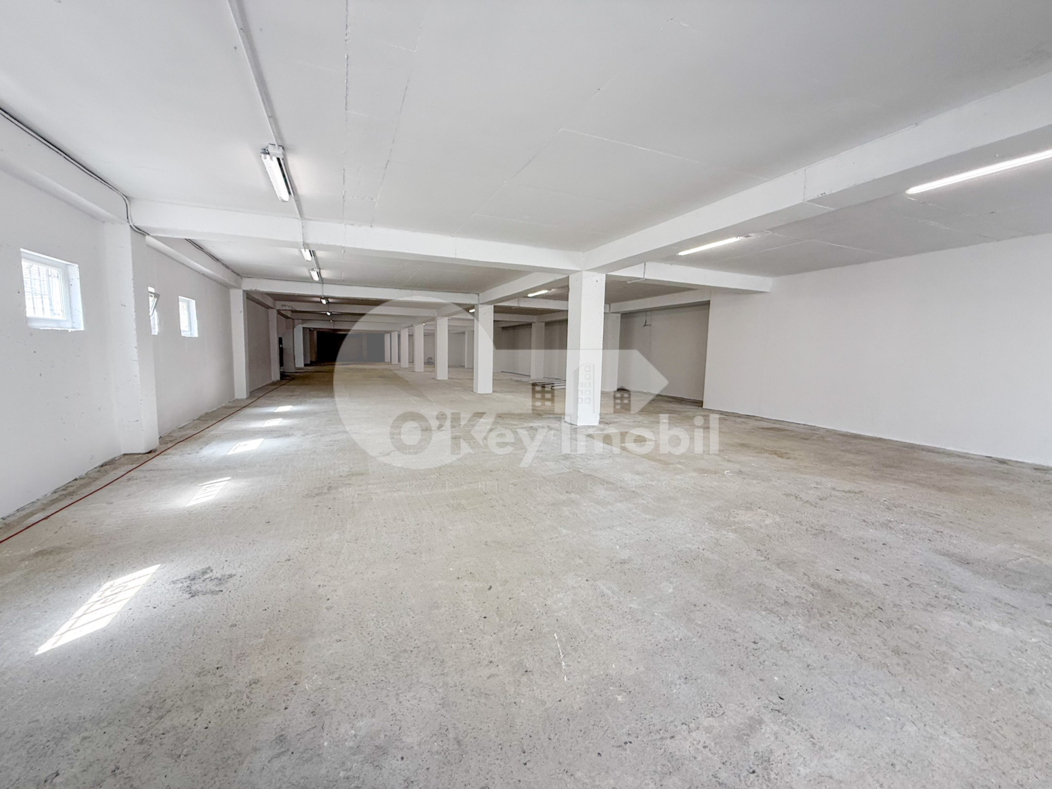 Spațiu pentru producere, Râșcani, SERGIU RĂDĂUȚANU