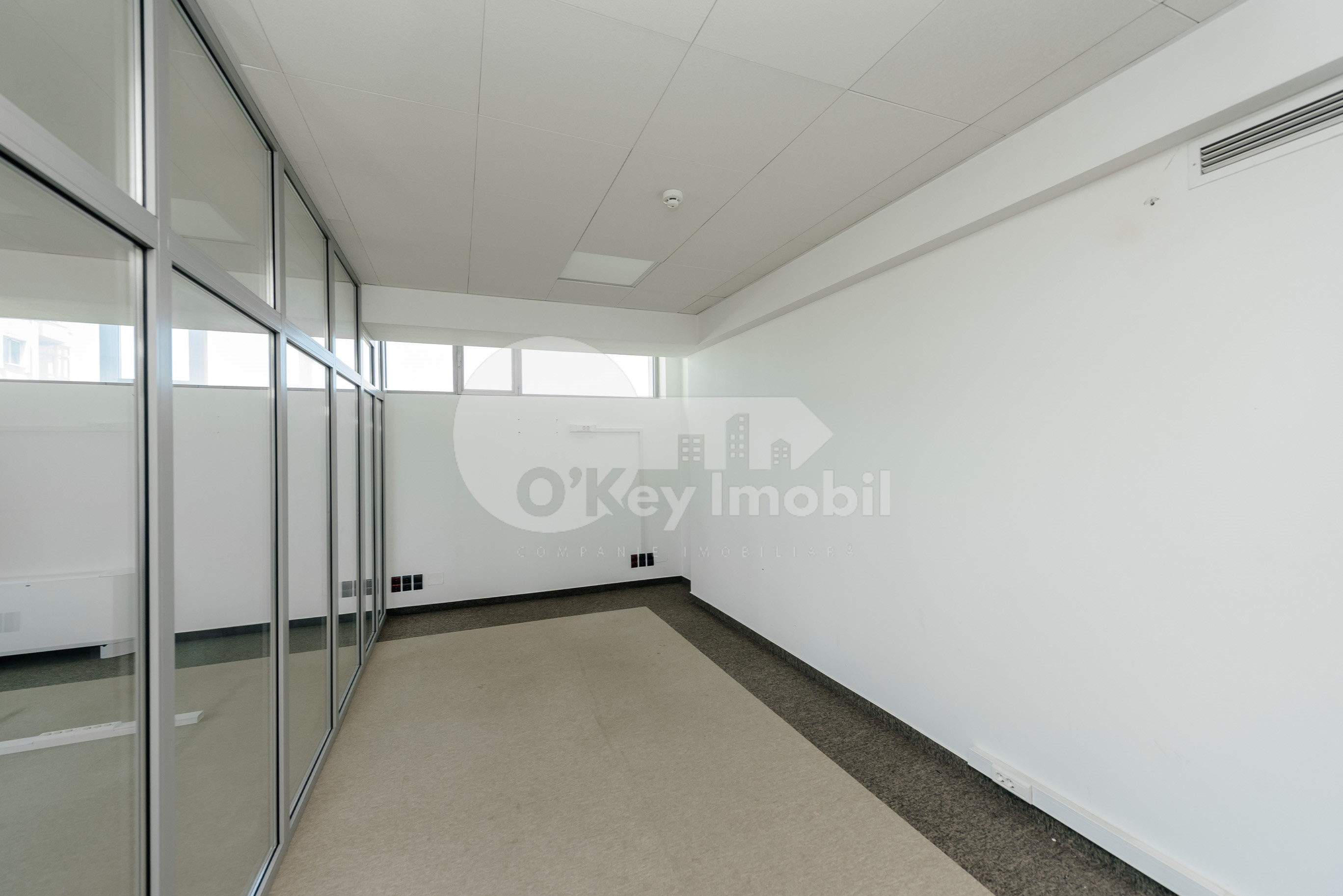 Oficiu, Centru, SFATUL ȚĂRII