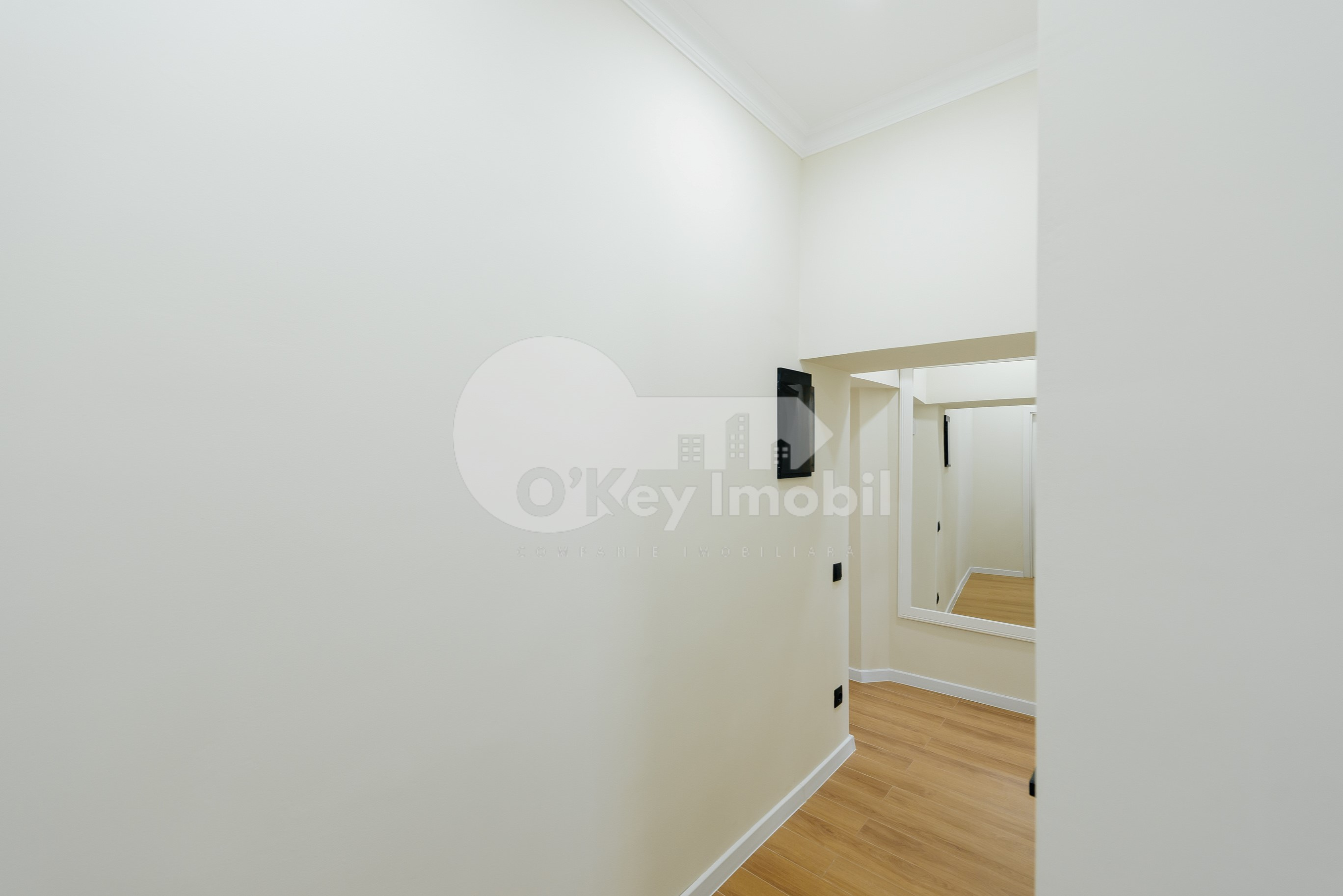 Apartament, Centru, GRIGORE VIERU