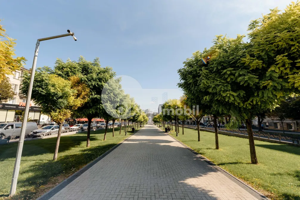 Квартира, Центр, ГРИГОРЕ ВИЕРУ