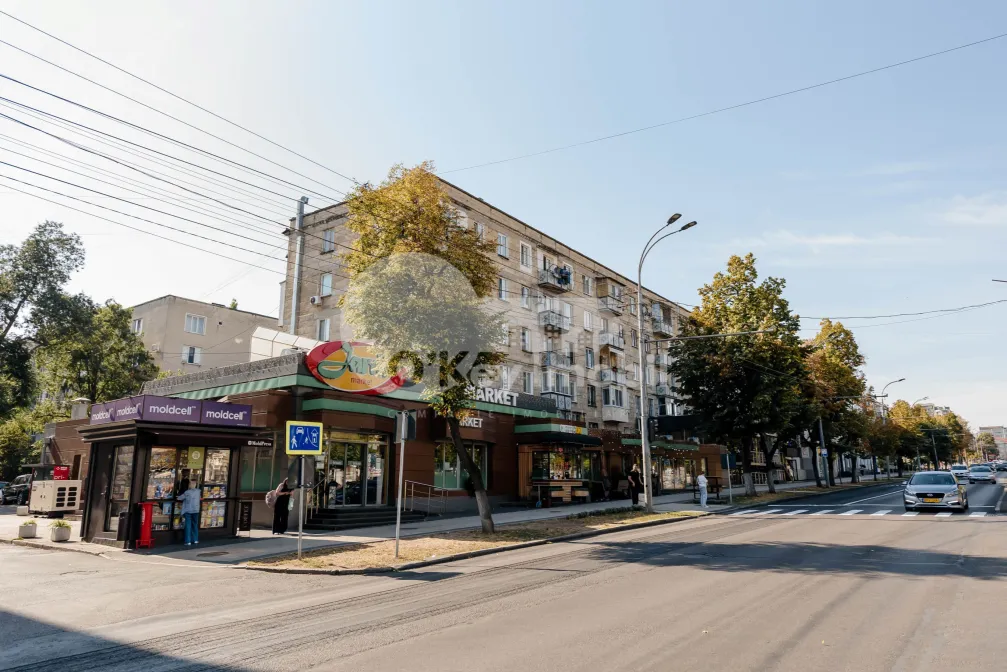 Квартира, Центр, ГРИГОРЕ ВИЕРУ