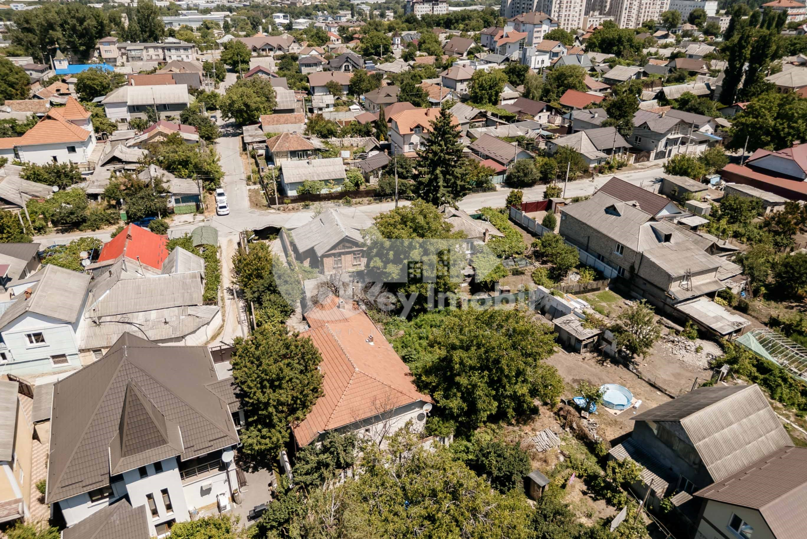 Teren, Botanica, PLAIULUI