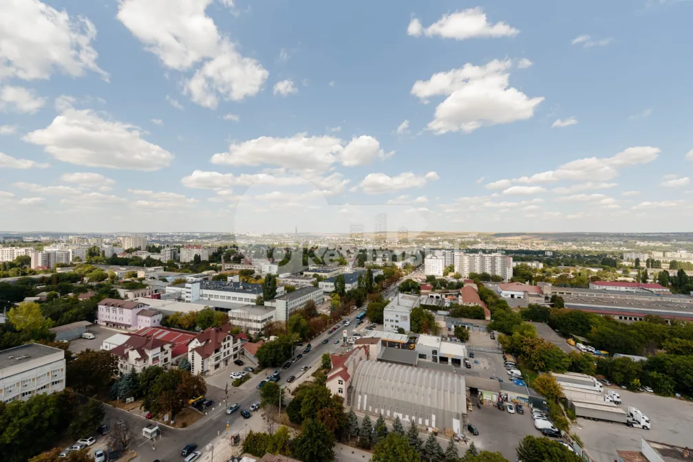 Пентхаус, Ботаника, БУРЕБИСТА