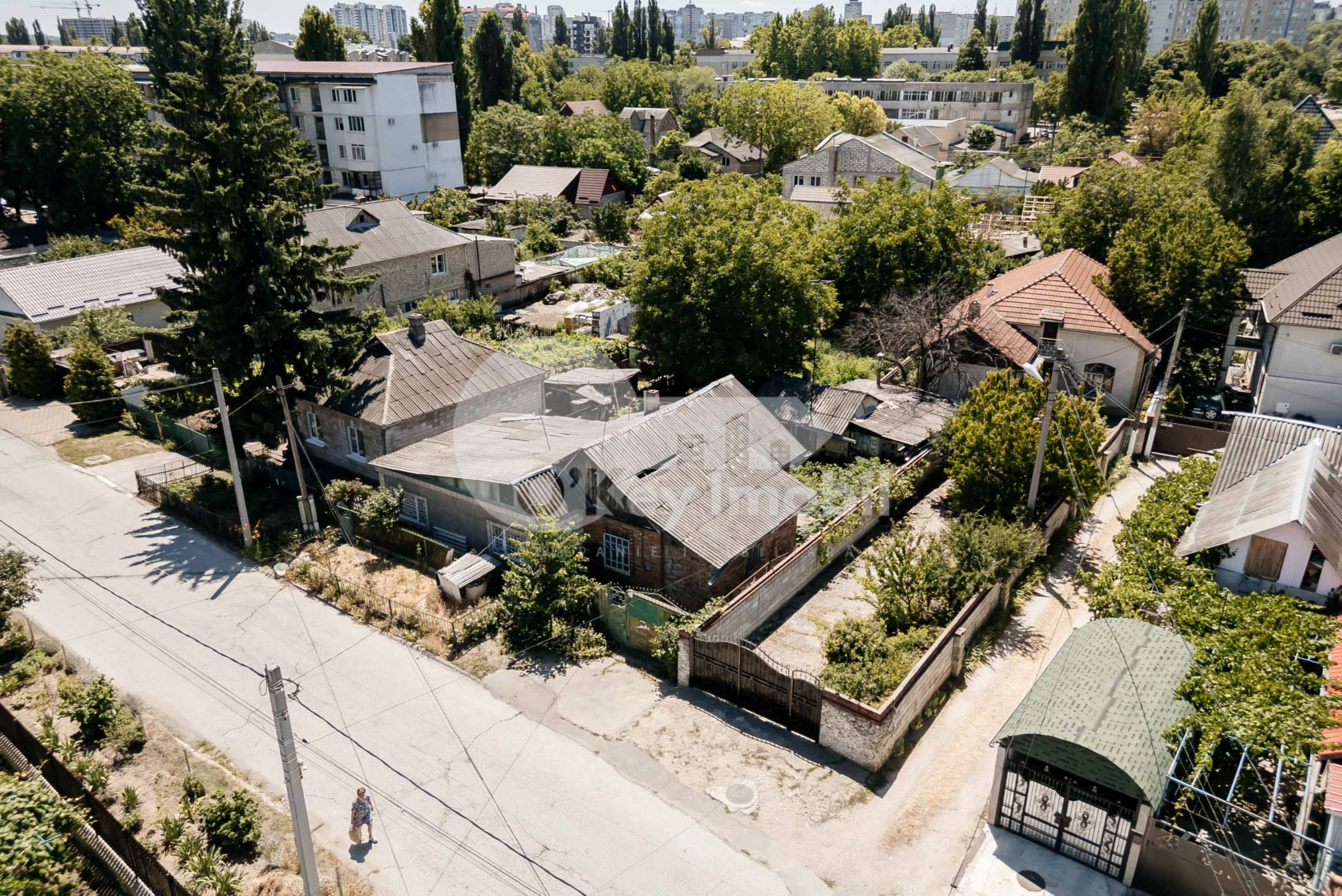 Teren, Botanica, PLAIULUI