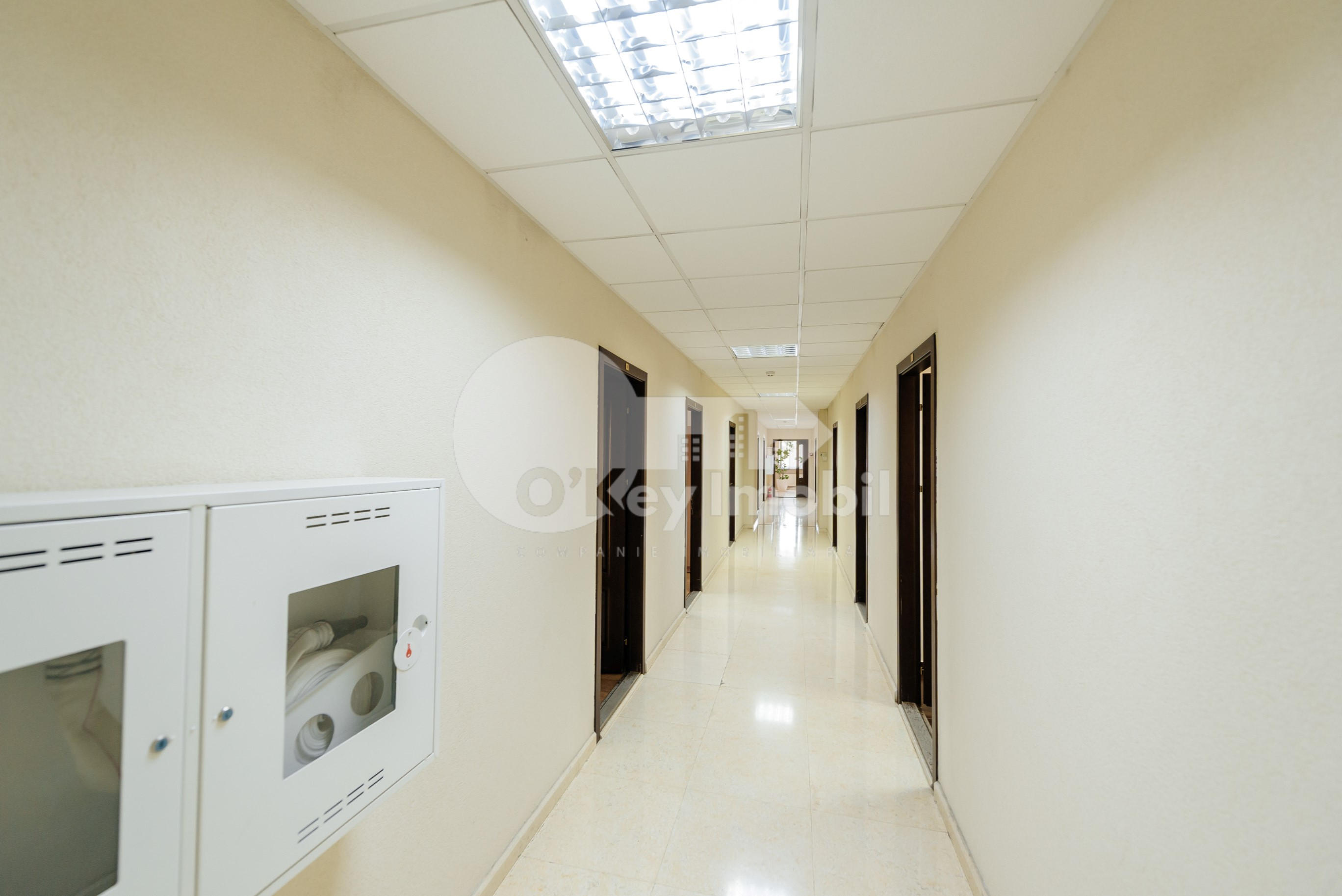 Spațiu comercial, Centru, MITROPOLIT DOSOFTEI