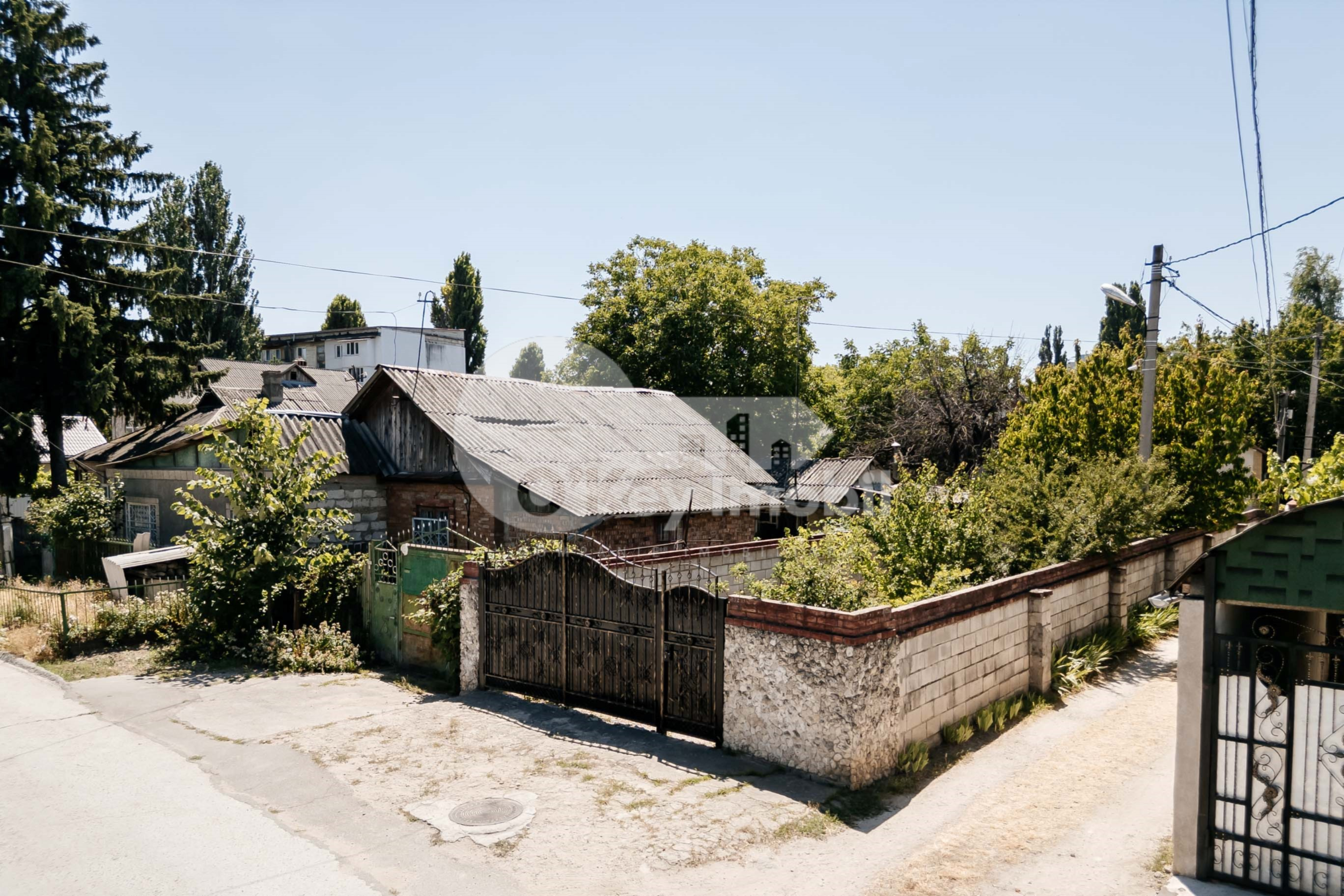 Teren, Botanica, PLAIULUI