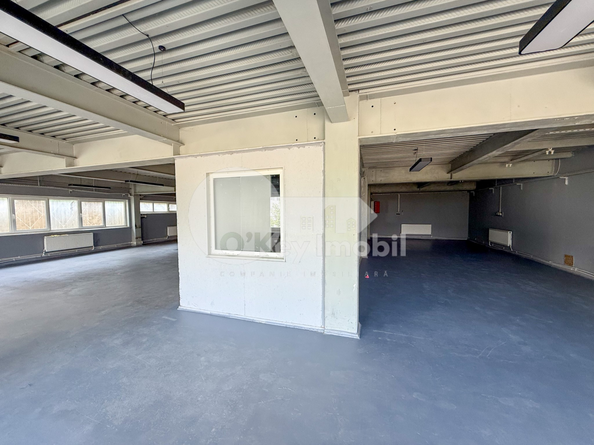 Spațiu Comercial, Buiucani, ALBA IULIA