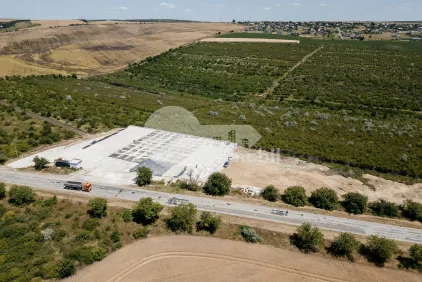 Земельный участок, КРУЗЕШТЫ