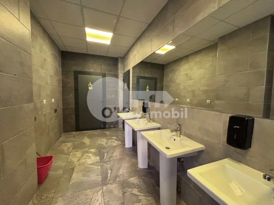 Офис, Центр, ШТЕФАН ЧЕЛ МАРЕ