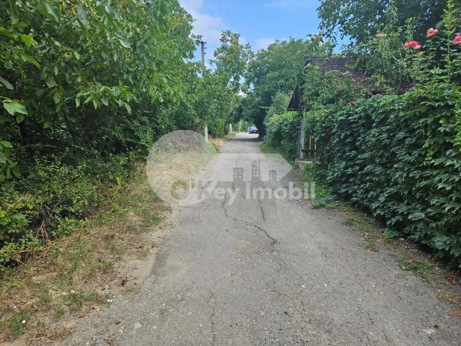 Квартира, ДУМБРАВА