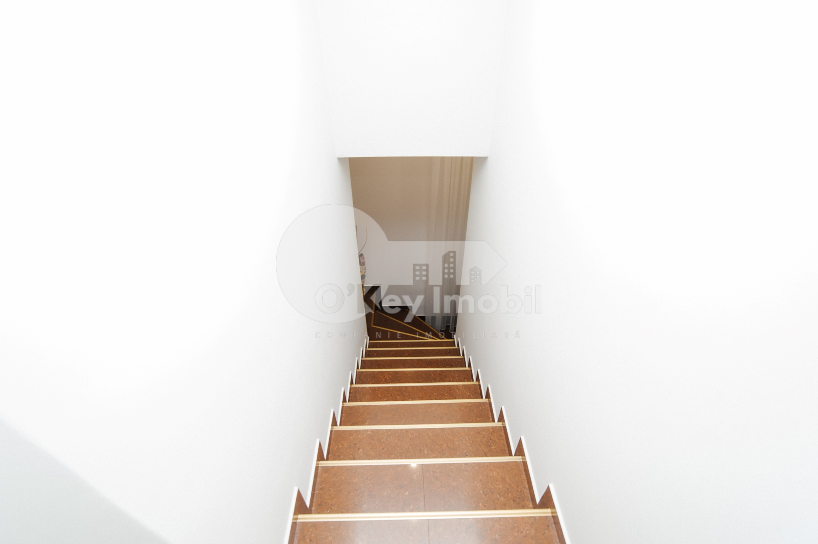 Casă, Centru, TIMIȘ