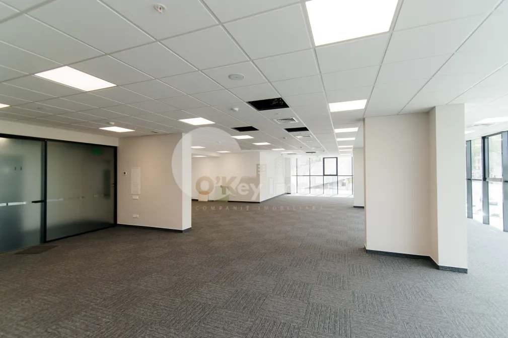 Офис, Центр, МИХАЙ ВИТЯЗУЛ