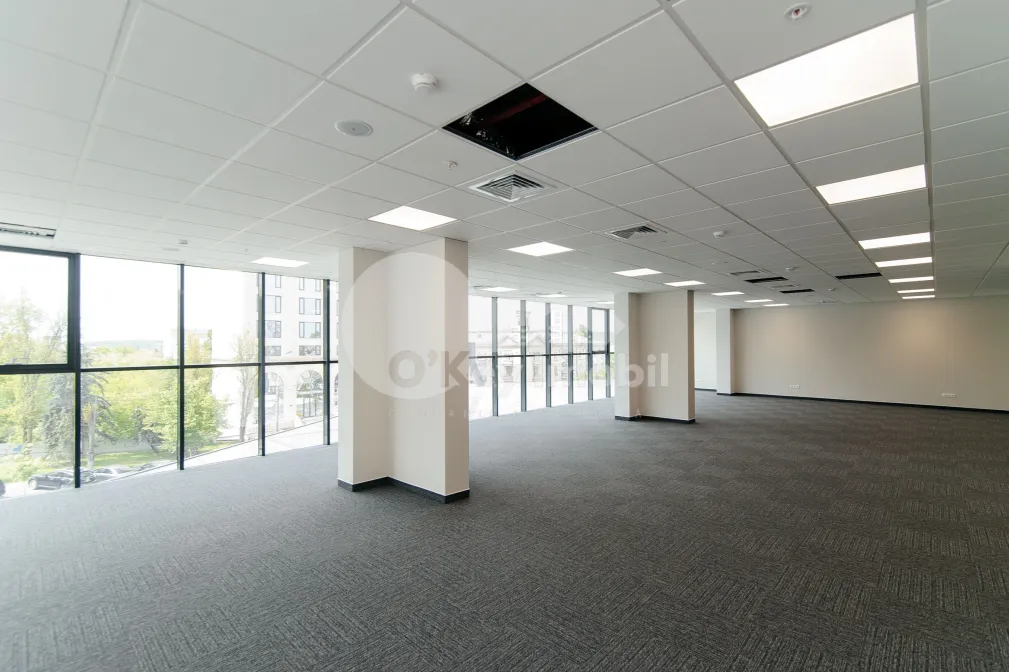 Офис, Центр, МИХАЙ ВИТЯЗУЛ