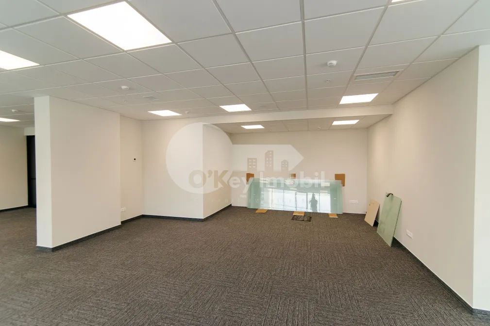 Офис, Центр, МИХАЙ ВИТЯЗУЛ