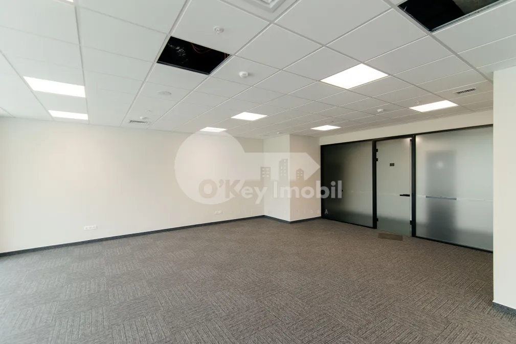 Офис, Центр, МИХАЙ ВИТЯЗУЛ