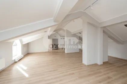 Офис, Центр, БЭНУЛЕСКУ БОДОНИ