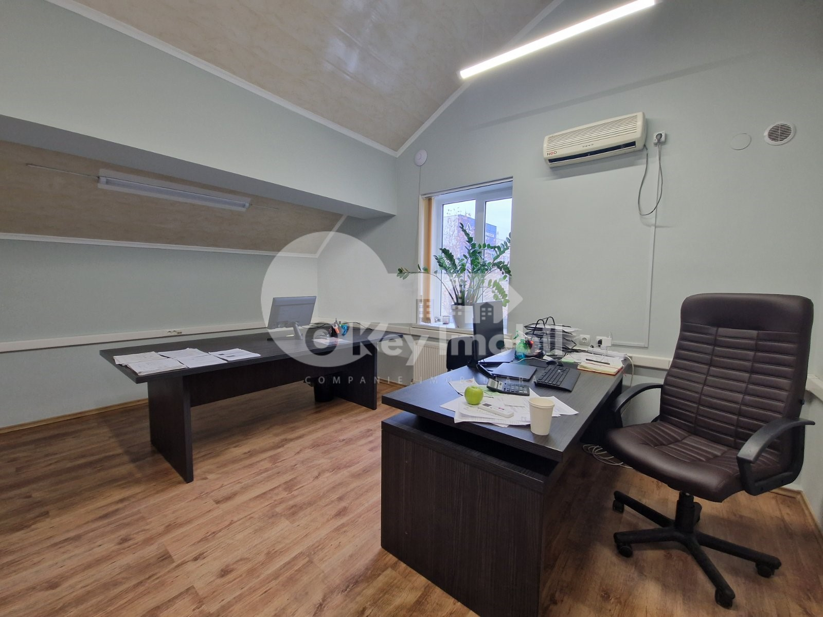 Oficiu, Centru, PUȘKIN