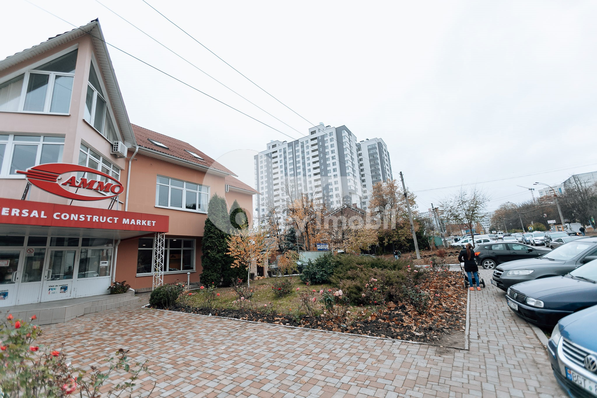 Oficiu, Botanica, BUREBISTA