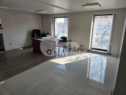 Офис, Центр, ГРИГОРЕ ВИЕРУ