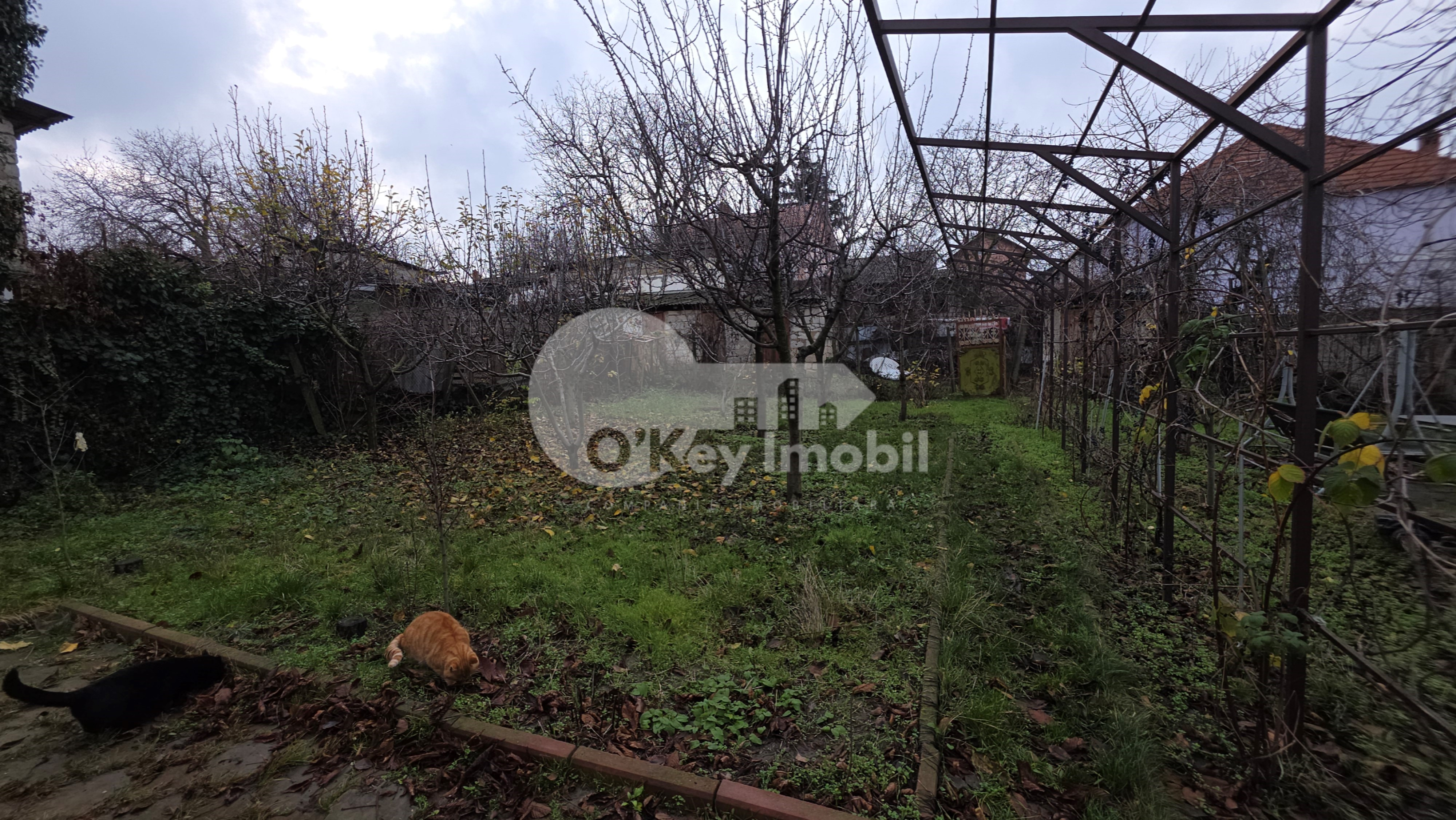 Apartament, Telecentru, PORUMBIȚEI