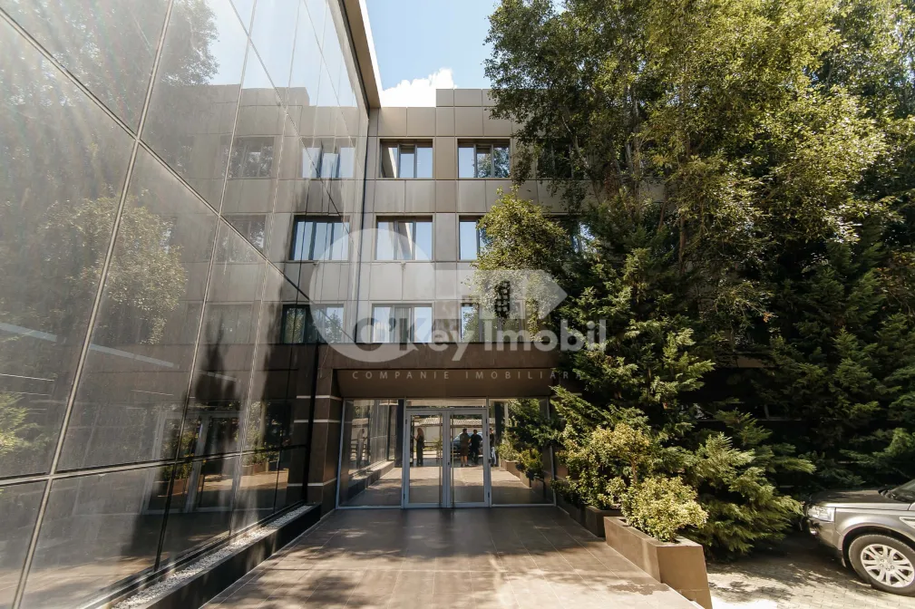 Офис, Буюканы, ИОН КРЯНГЭ